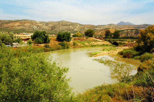Genil river