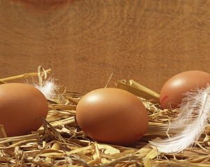 Bio-Eier