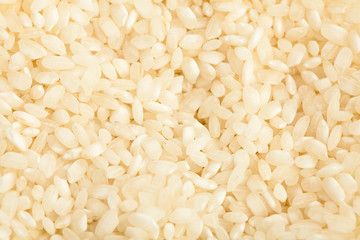 rice texture