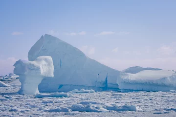 Foto op Canvas .Antarctic iceberg © Goinyk