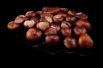 Chestnut on black bacground