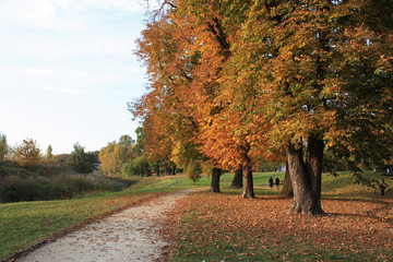 jesienny spacer