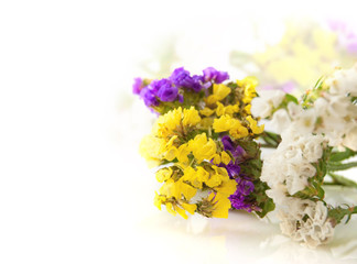 Multi-colored wild flowers on a white background