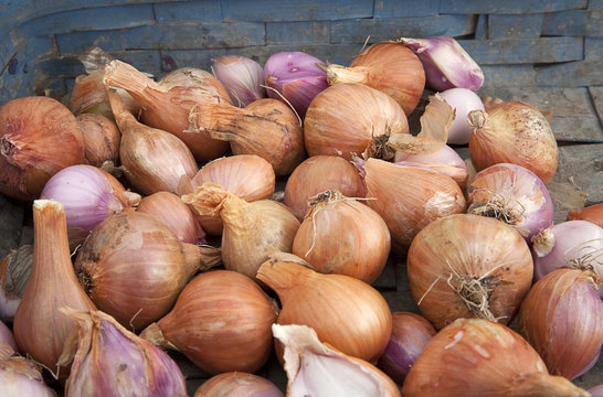 Freshly picked shallots in a bin on display for sale.