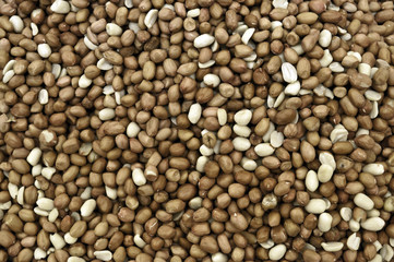 Groundnuts