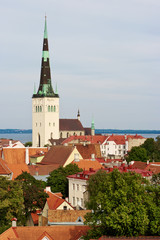 Fototapeta premium Tallinn. Estonia