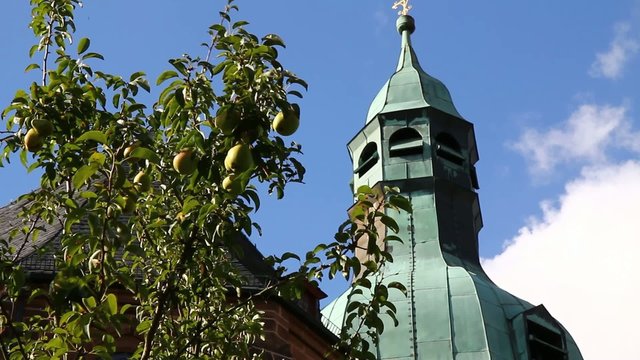 Kirchturm mit Obstbaum