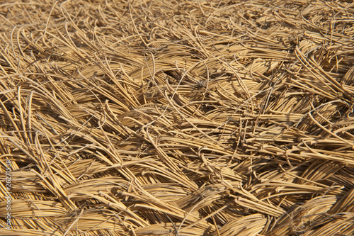 "Rattan" Stockfotos und lizenzfreie Bilder auf Fotolia.com - Bild 26271538