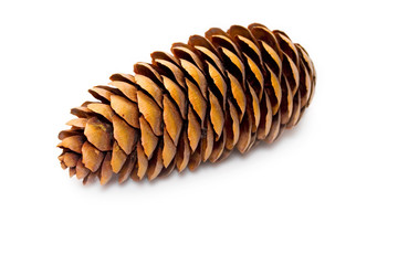 Fircone isolated on white