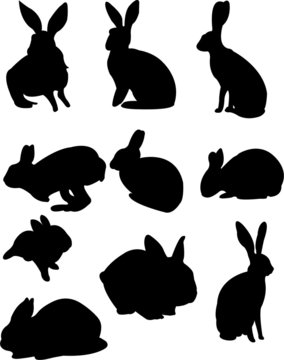 rabbits silhouette collection vector