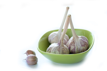 Garlic