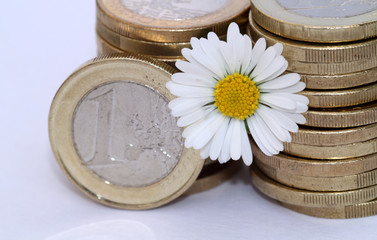 1 Euro Stapel mit Blume II