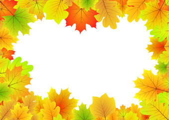 [V] Herbstrahmen | autumn frame