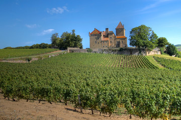 Fototapeta na wymiar Chateau de Pierreclos, Burgundia, Francja