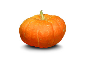 Orange pumpkin on white backgound