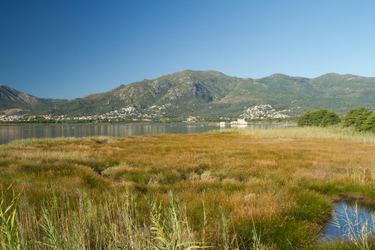 etang de biguglia en corse