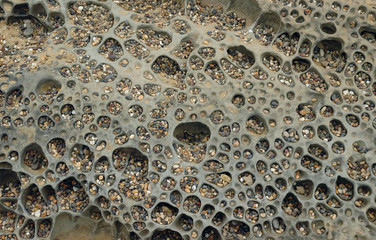 Pebbles in a sandstone hollows