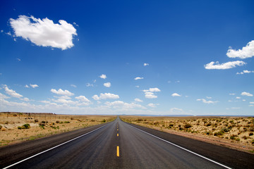 Naklejka premium Streched desert road