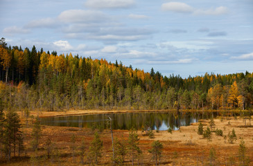 Wood lake. autumn landscape. nature. Karelia. Russia