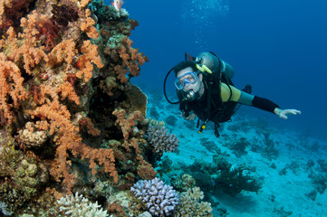 male scuba diver swims on coral reef