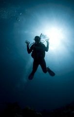 silhouetted diver