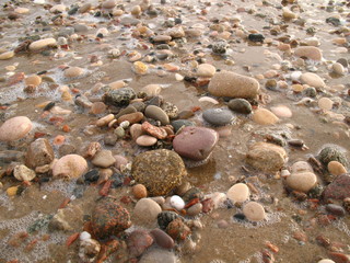 Piedras junto al mar