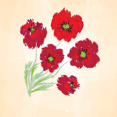 Bouquet of abstract poppies on orange background