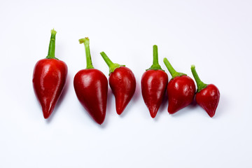 red hot pepper