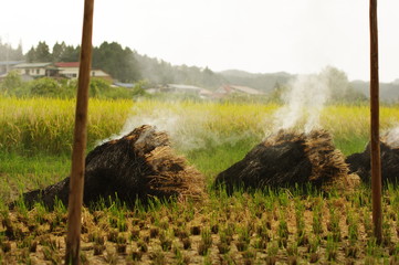 刈りわらの山