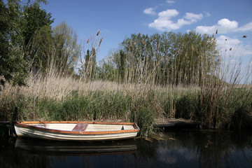 Fototapeta na wymiar Kleine Boote am Plattensee