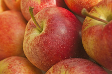 Apfel