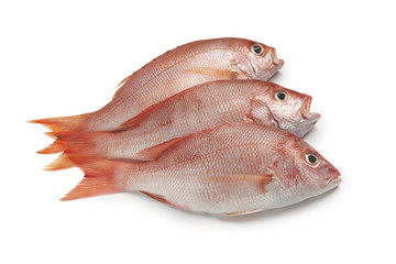 Whole fresh red snappers