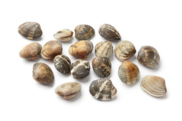 Fresh vongole veraci shells