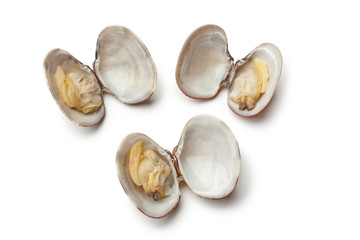 Fresh cooked clams