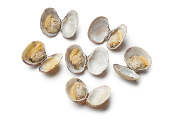Fresh cooked vongole veraci shells