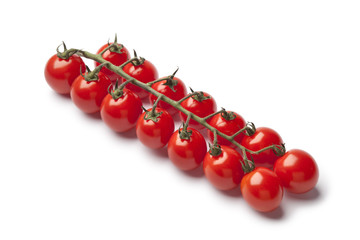 Mini cherry tomatoes on a vine isolated