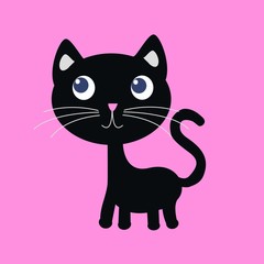 a cute black cat