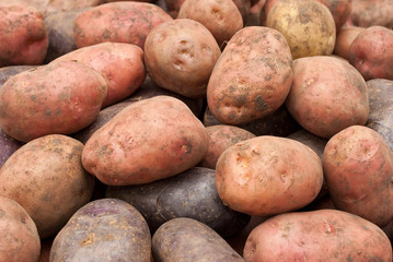 Potatoes