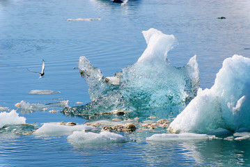 20080812 Jokulsarlon 46