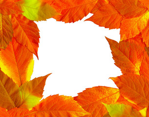 Naklejka na ściany i meble Frame of fall leaves