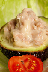 Avocado starter