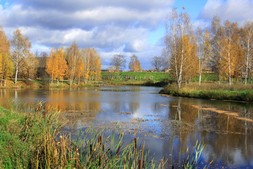 Beautiful landscape in park . Autumn scene