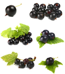 black currants