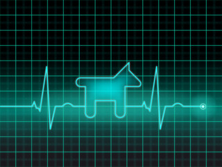 EKG für Haustiere