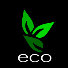 three green leaves on a black background