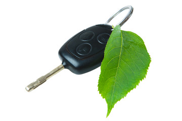 Car key with green leaf.