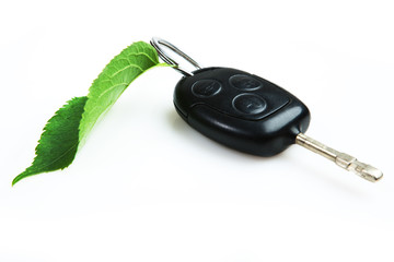 Car key with green leaf.