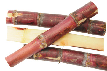 Maroon Color Sugarcane On White background