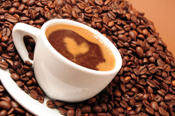 coffee cup and the coffee bean