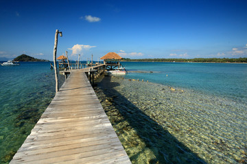 Fototapeta premium bridge to the see,